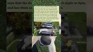 For 6 Years This Dog Slept By His Owner&rsquo;s Grave Every Night