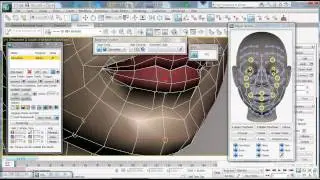 BonyFace 2.7 Basics. Part 1: Spline system