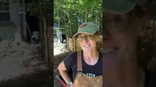 Live compost sifting