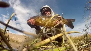EasternSierra fishing, Wild trout section,Owens River