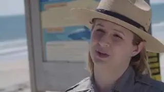 Shark Safety Video