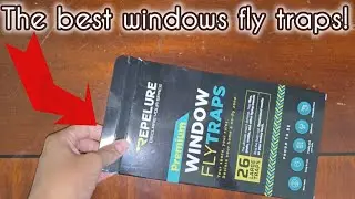 Best fly traps for window perfect for summer 2025