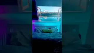 This INSANE Quality Projector That Will Change Your Viewing Experience