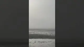 Something in the Fog #shorts #realfootage #creepy #scary #figureinthefog