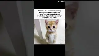 be honest what would you do? #meme #cat #funny #capcut