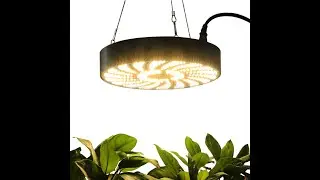 FECiDA UFO1000 led grow light review