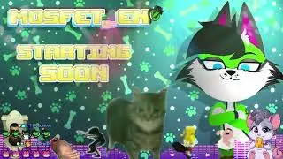 💗BACK FROM FWA! STORY TIME~💗 | HAPTICS! | !PISHOCK !BodyPillow !Discord !Socials