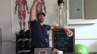 Show Up Fitness