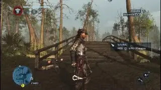 Why Assassin's Creed&reg; Liberation sucks: 50 tomahawk hits to kill 1 guy