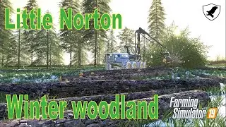 WINTER WOODLAND - FS19 - Little Norton Ep. 18