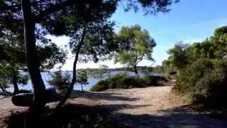 L'ÎLE DES EMBIEZ