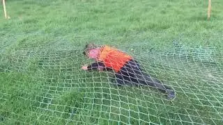 My mud run
