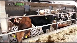 AGRICULTURA VENETA - STALLA SOCIALE MONASTIER(19/05/2018)