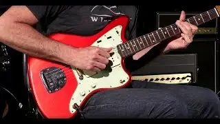 Fender Custom Shop Dealer Select Wildwood 