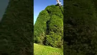 Piattaforma aerea tipo Ragno