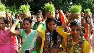 Banjara Teej Festival Super Celebrations at Nizam College ! Hyderabad !! 3TV BANJARAA LIVE