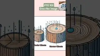 PTE Describe Image | Tree Rings & Climate Sample Answer | Score 90 Speaking Practice #ptetestprep