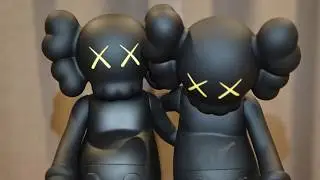 KAWS ALONG THE WAY UNBOXING IN SYDNEY