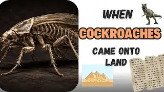 When Cockroaches Came Onto Land: Before Dinosaurs&hellip; Earth&rsquo;s Oldest Survival Story