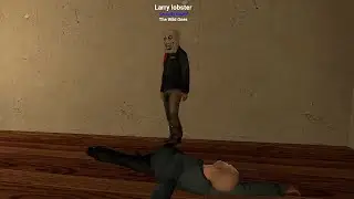 Larry gets mad at ragdolls