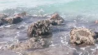 SOMETIMES IN THE WAVES, CHANGE WE FIND OUR TRUE DIRECTION