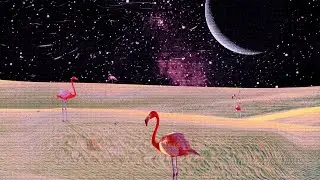 Flamingo Garden-The Chris Ruben Band Lyric Video