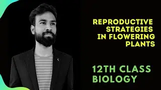 reproductive strategies of flowering plants ll #12thclassbiology