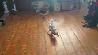 CopterX 450  hovering in much limited space