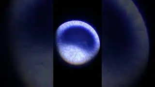 lab technician.. #microscope #foryou #science #labstaff #biology #space #viral #viralvideo #explore