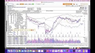 Daily Review (early)
