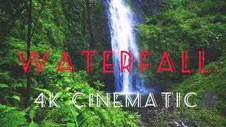 a beutiful small waterfall in assam #nature #assamnature #jorhatian #assamesesong #viralvideo