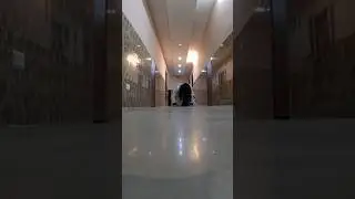 Serbian Dancing Lady || Horror Clip || #ghost #bhoot #horror