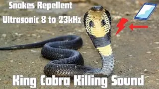 Anti Snake Repellent Sound | Keep Snakes away | Ultrasonic sound 8 to 23Khz