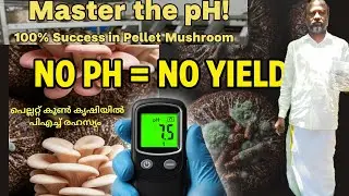 🏆🏠 Master the pH in Pellet Mushroom Farming! 🍄 100% Success💰 പെല്ലറ്റ് കൂൺ കൃഷിയിൽ പിഎച്ച് രഹസ്യം 📈