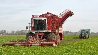 Loonbedrijf Paridaen - Agrifac Hexa - bieten rooien