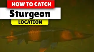 Assassin's Creed Valhalla How to find small Sturgeon | 2 Locations