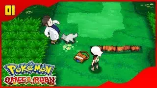 Pokemon OmegaRuby Walkthrough Part 1: Choose Your Starter (SPEED UP!)