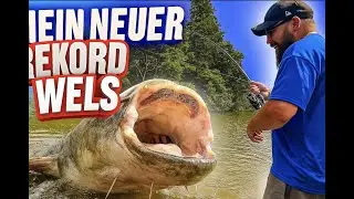 Monster-Wels im Drill- Ich konnte es kaum glauben!