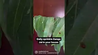 Tips to Remove Nazar Dosh from House #shorts #trending #tiktok #remedies #tips 🔥