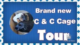 BRAND NEW C&C CAGE TOUR #guineapigsnewcage #cutebrotherpiggies #guineapigeating #guineapigsofyoutube