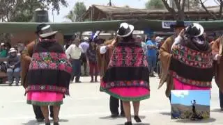Coronguina _  Representativo Vilca