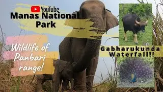 Panbari Range (Manas National Park) || Wildlife of Panbari Range