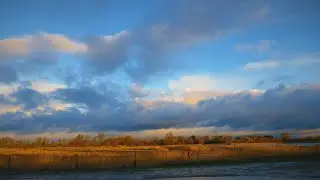 Looking For Owls, Deeping Lakes, Lincolnshire: 12th January 2020