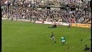 Munster Senior Hurling Final 1996 (7 of 8)