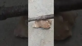 What Happens When You Pour Molten Metal Into a Seashell? #shorts #viralvideo #restoration #art