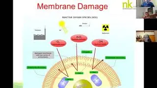 Lockdown Webinar Series -- EMF Stress