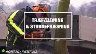 Tr&aelig;f&aelig;ldning & Tr&aelig;besk&aelig;ring ✔ Morfars Haveservice &rArr; Stevns - K&oslash;ge - K&oslash;benhavn