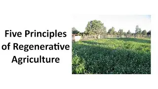 Five Principles of Regenerative Agriculture
