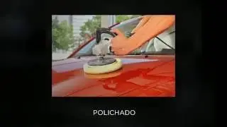 POLICHADO