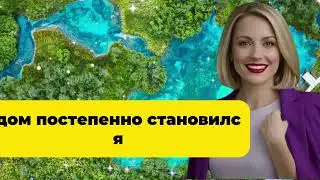 Тёща в итоге согласилась — у зятя не осталось ей альтернатив.